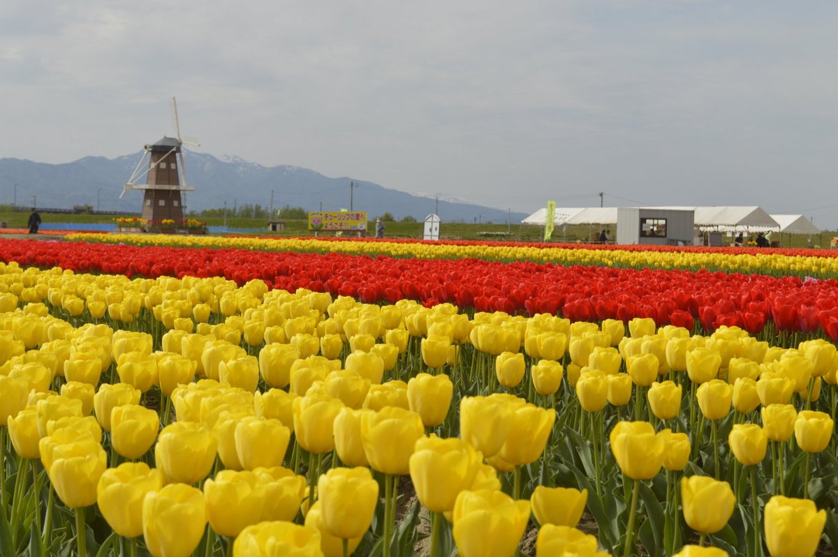 さんしろう@5/10白根ハーフマラソン tweet media