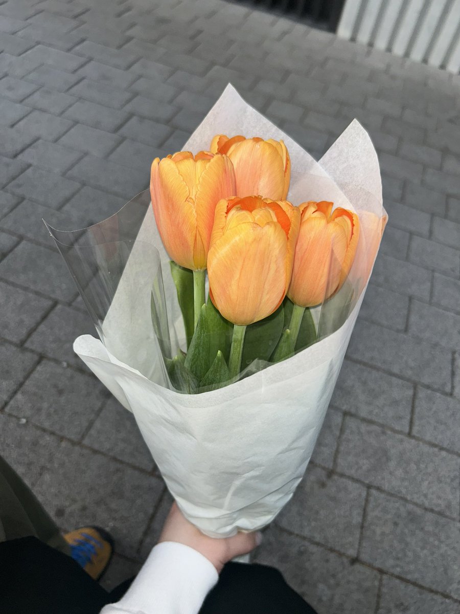 왕밥이 tweet media