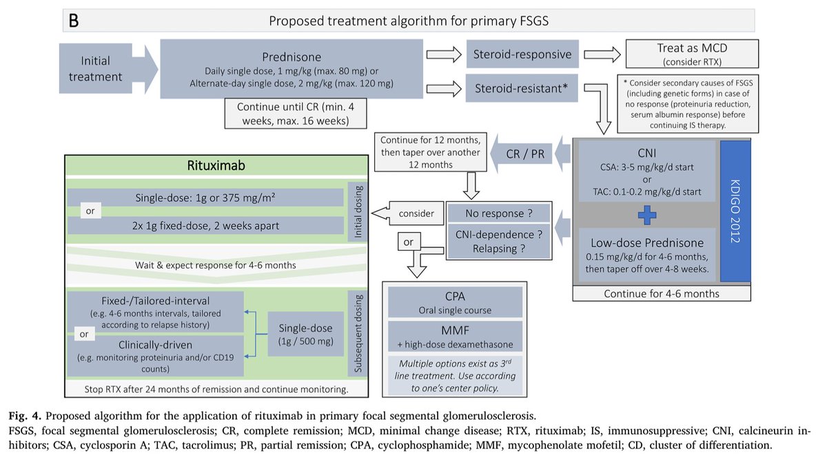 edgarvlermamd's tweet photo. Proposed algorithm for the application of rituximab in minimal change disease (MCD) and primary focal segmental glomerulosclerosis (FSGS) ca. 2020
#Nephpearls 

👉 https://t.co/Yqzstab0JT https://t.co/scWQrTGiNh