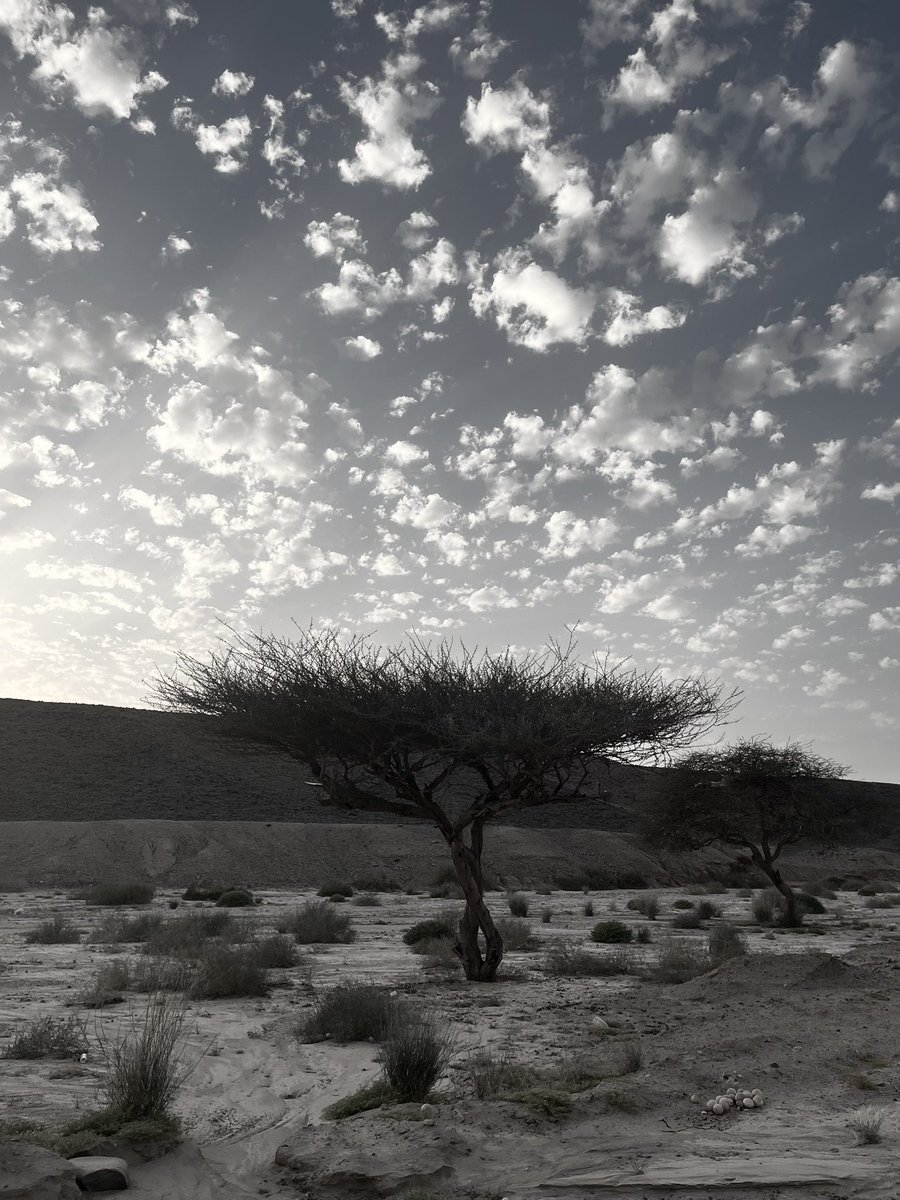 FazzilFl's tweet photo. 🪾#Neom #desert https://t.co/bBfQlb1nPH