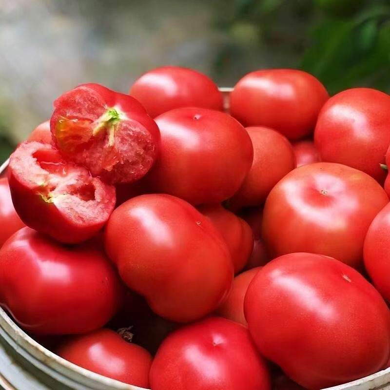 Lyna’s Vibe tweet media