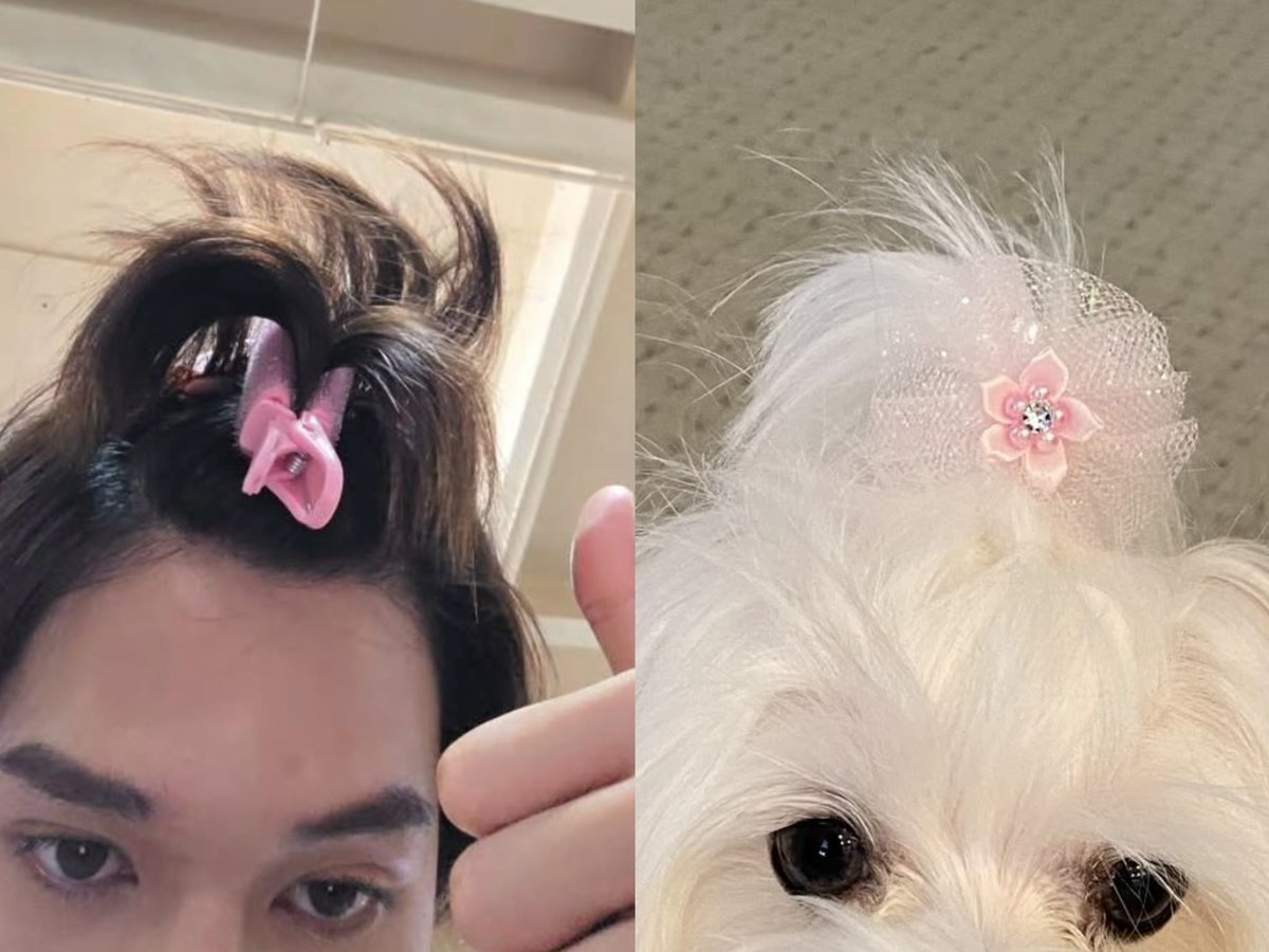 น้องมอลทีสนินา 🌸໒꒰´•˕•`꒱ა 🌸