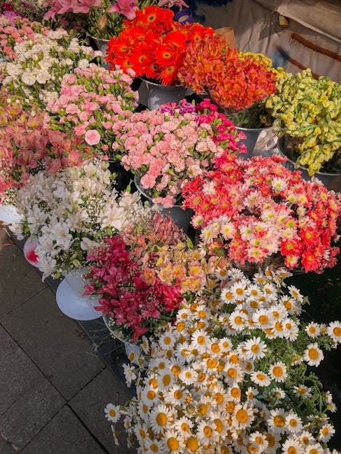 พอตภูเก็ต พอตเค พร้อมส่งครับ tweet media