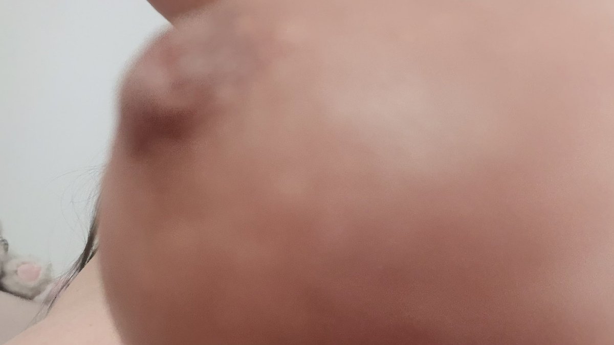 咪咪（求破 800fo） tweet media