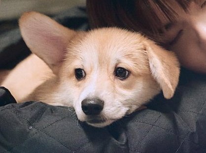 yim⋆ೀ tweet media