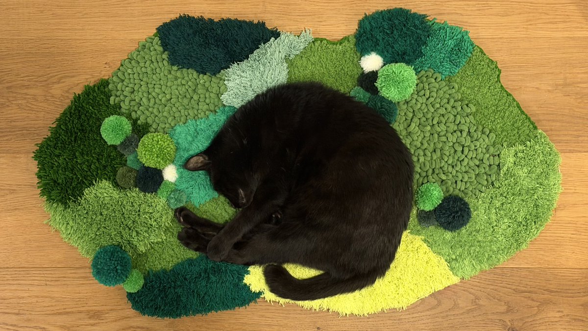 木野聡子 | Akiko Kino tweet media