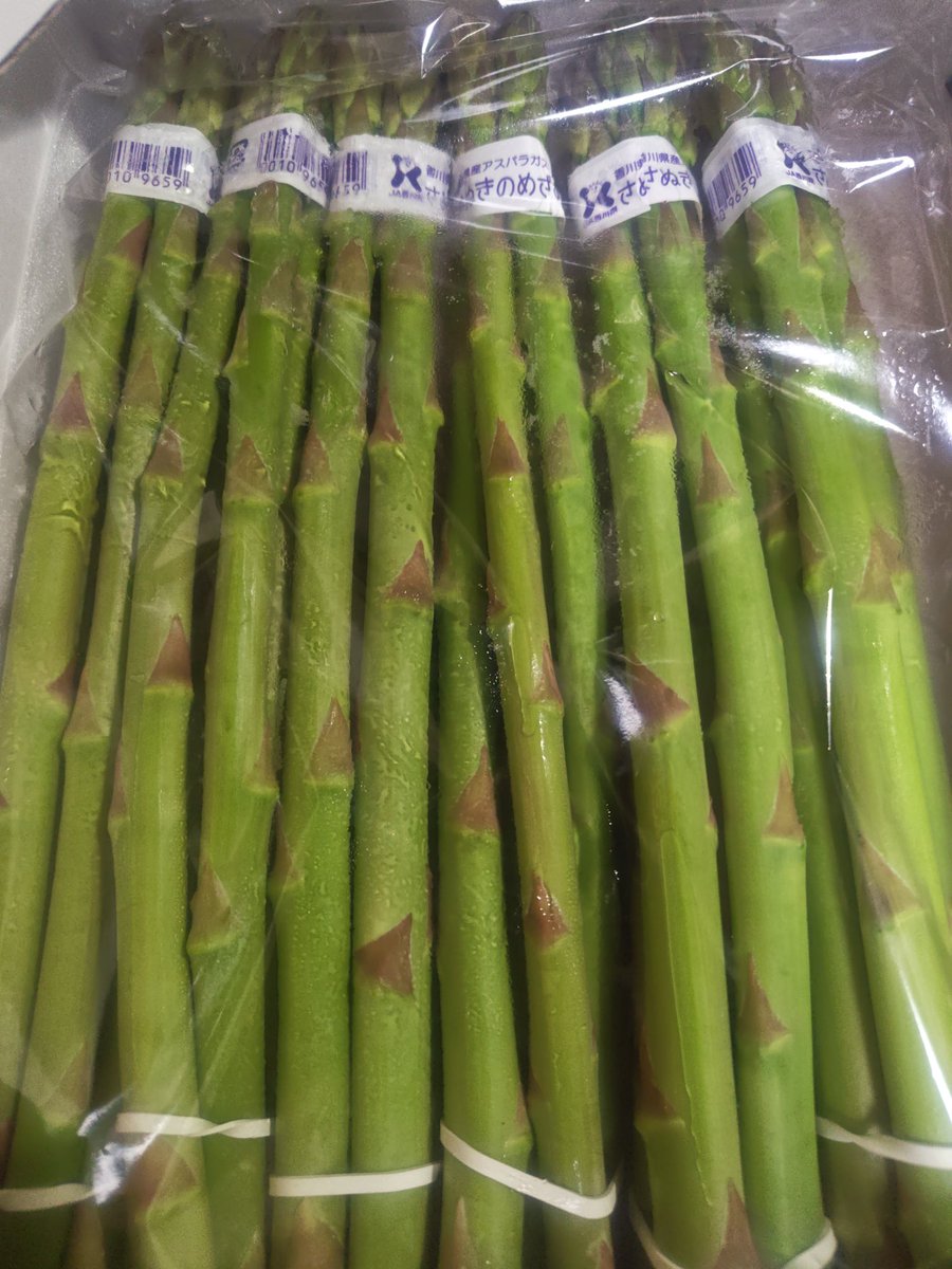 Ｈａｍａｋｏ tweet media