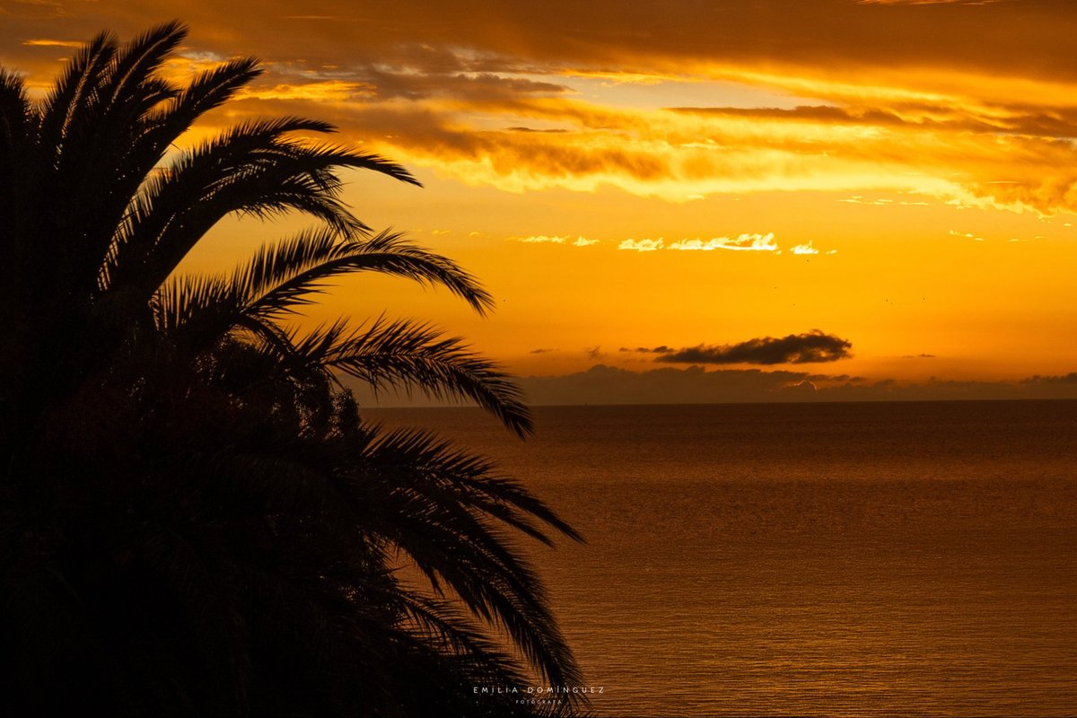 emiliadcph's tweet photo. Todo eso en un atardecer. https://t.co/HDw25ZLQVl