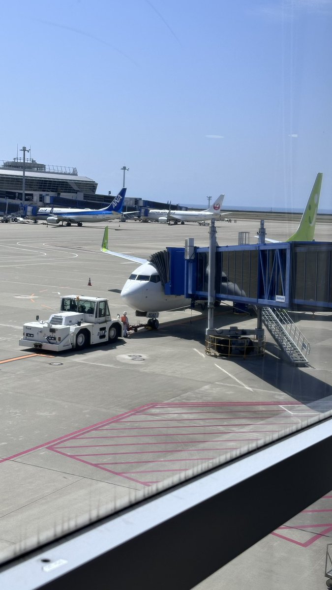 ちゃんこ👑団結の力🏀 tweet media