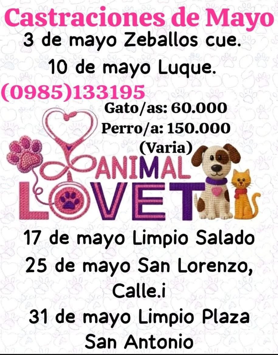 Marcando Huellas tweet media