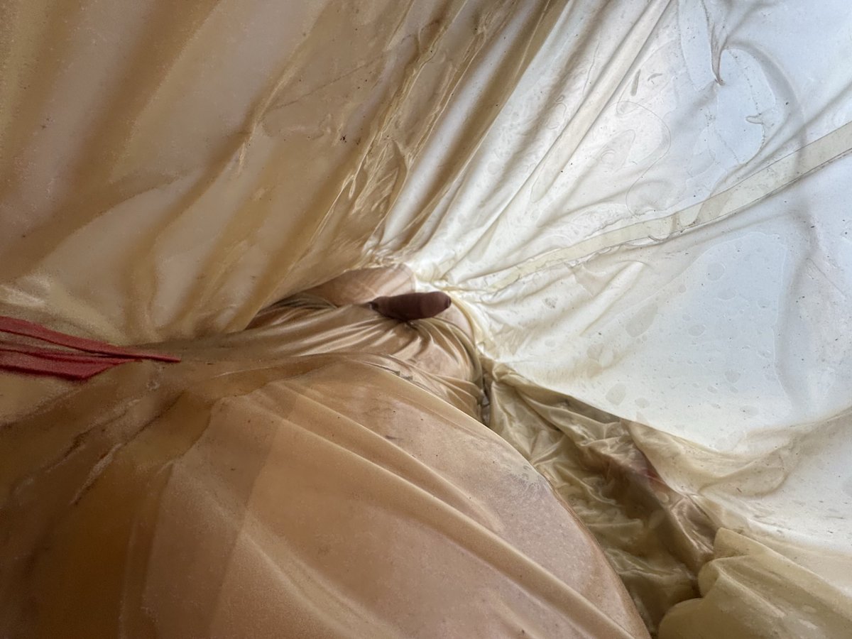 🔞飴守みゃう命🏳️‍⚧️ふさもふシリーズ tweet media