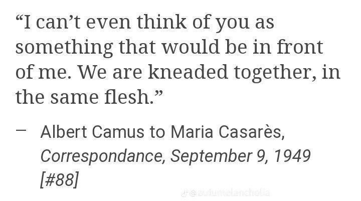 o mais belo caso ilícito da história