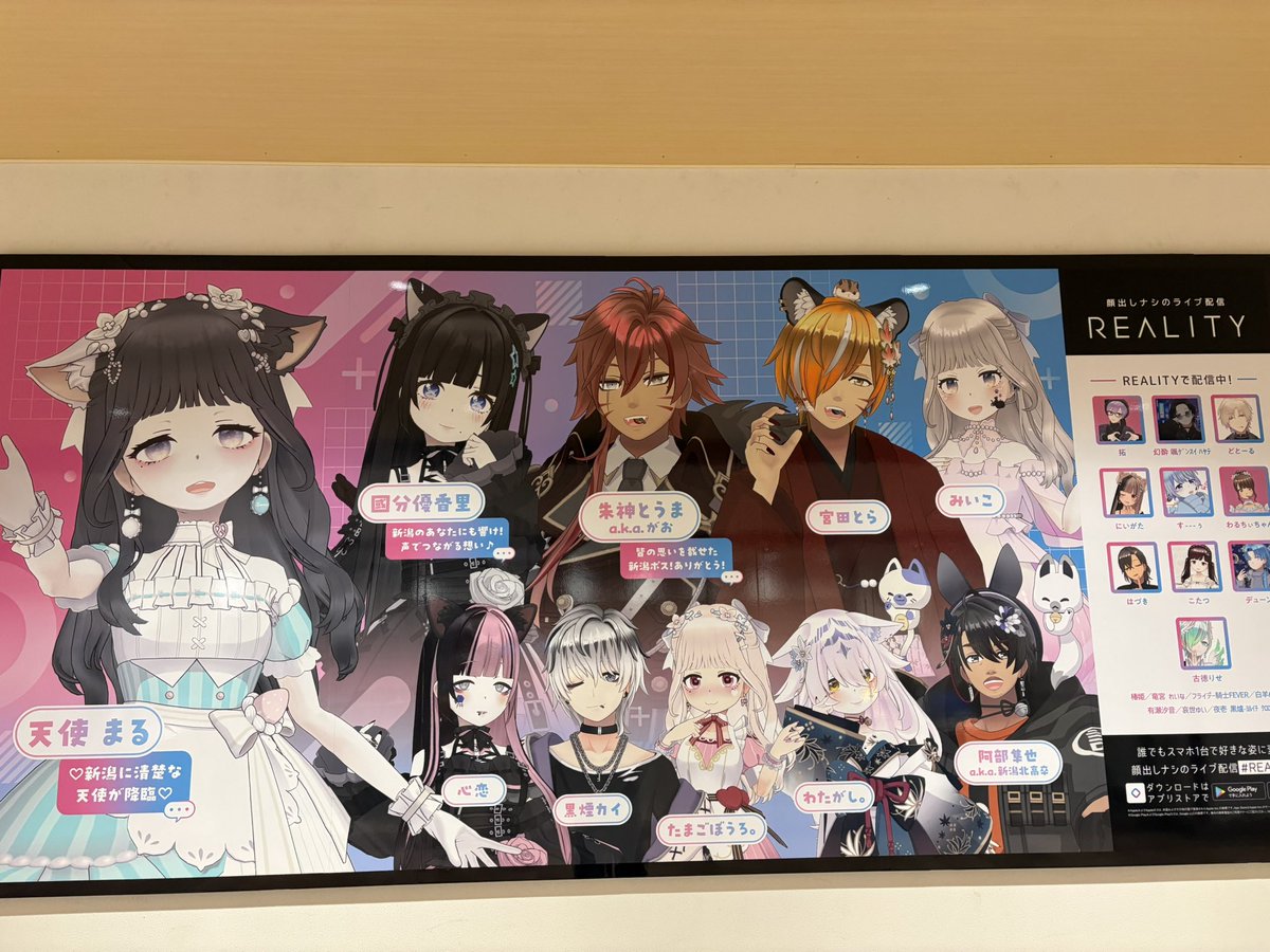 椿姫🐈‍⬛🍀 tweet media