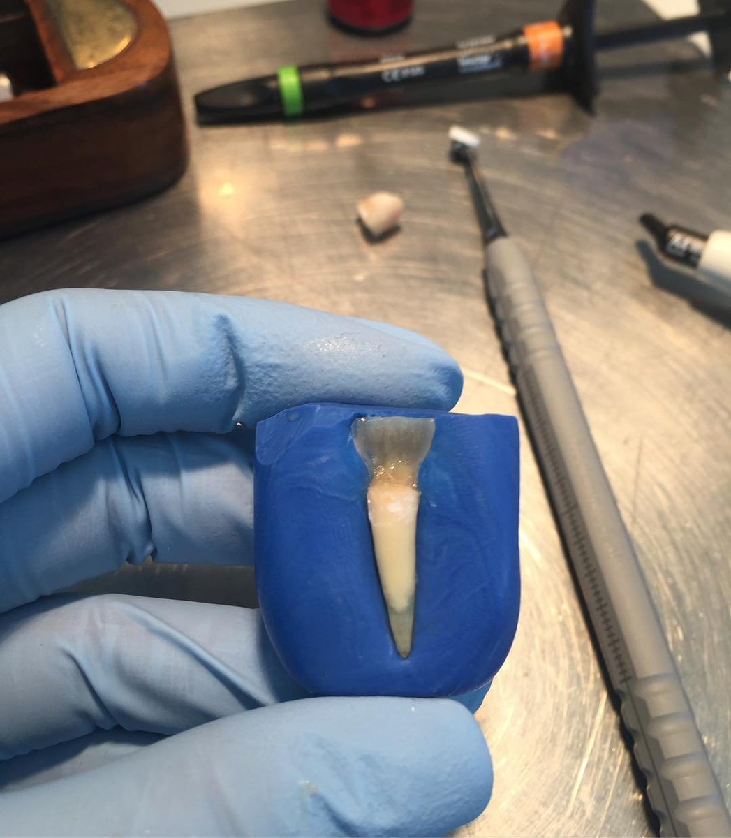 Lena Alyssa tweet media