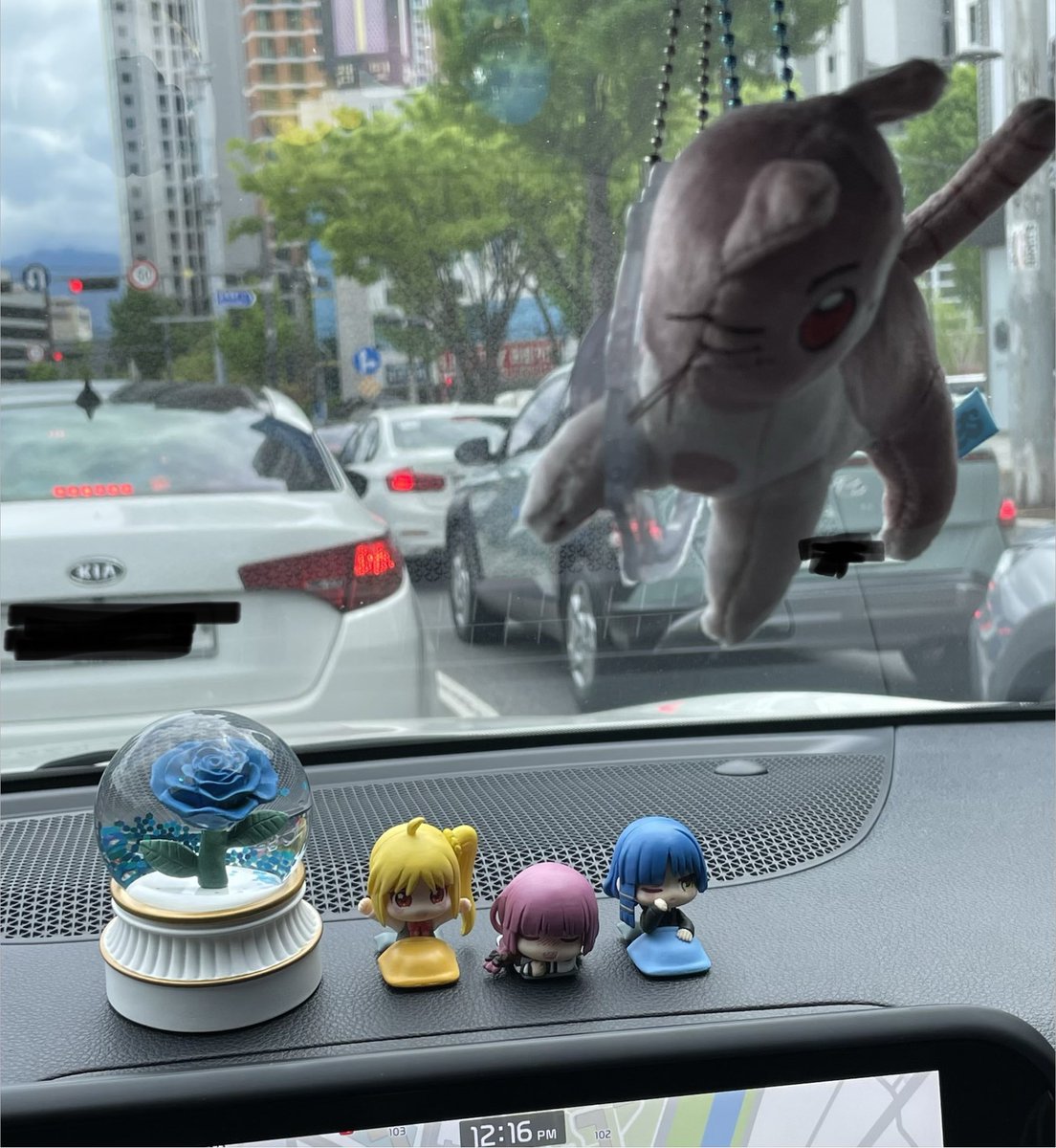 イルカ🐬🌊 tweet media