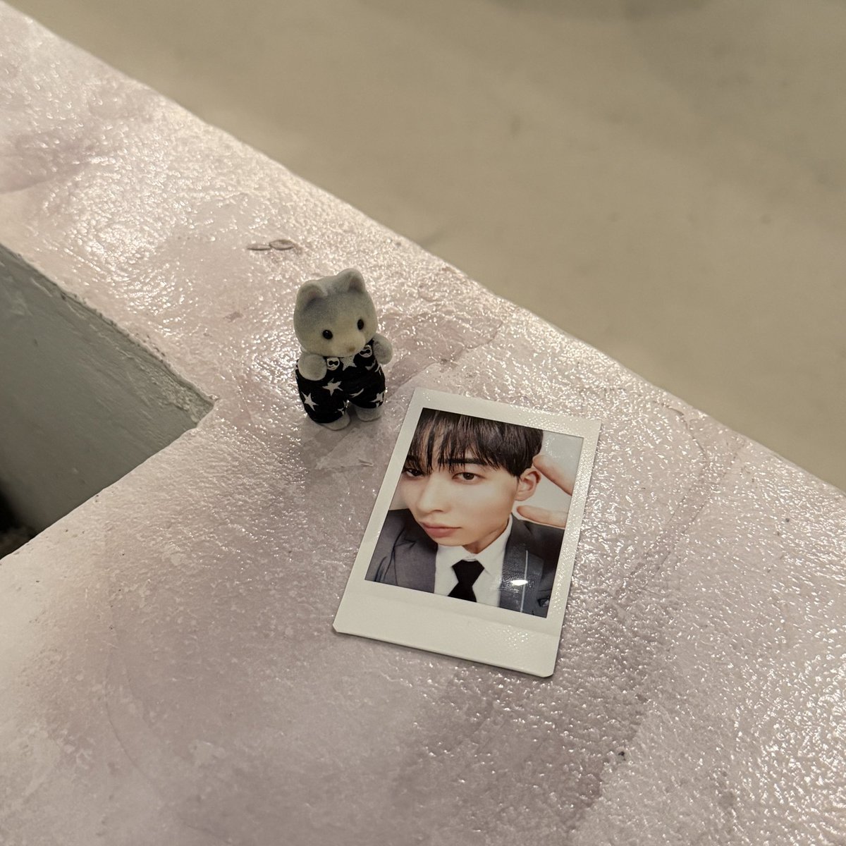 pu꙳⟡ tweet media