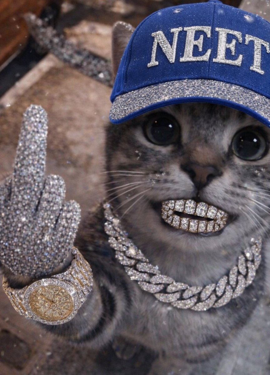 †༙ H͓̽e͓̽l͓̽l͓̽s͓̽B͓̽e͓̽l͓̽l͓̽s͓̽ †༙ tweet media