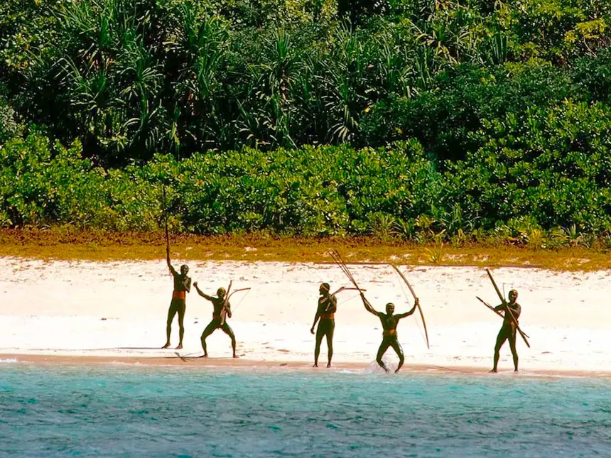 Stubbs, Medicinal Firearms Advocate tweet media