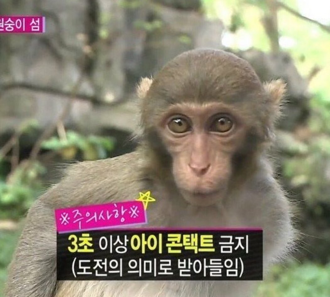 드립짤모음 tweet media