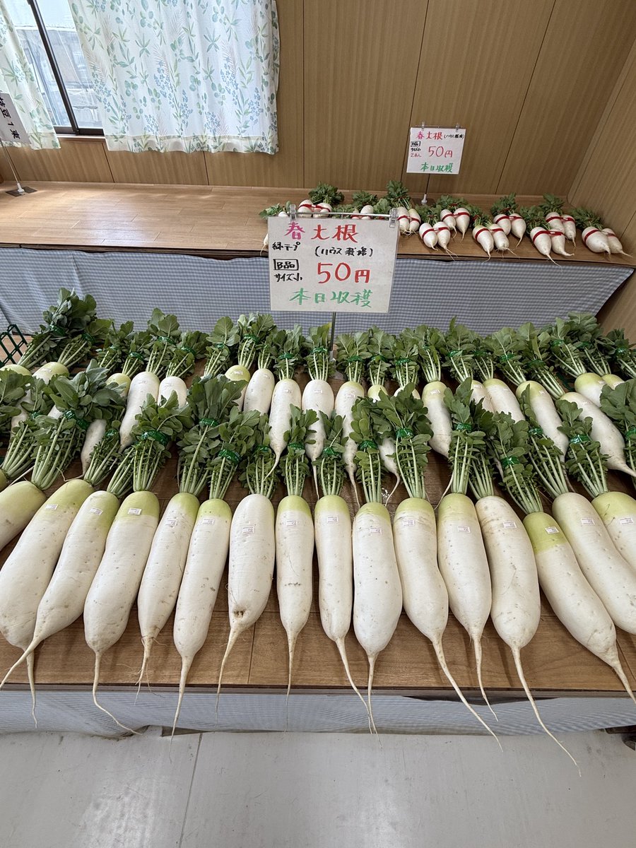 南鳩ヶ谷野菜直売所 tweet media