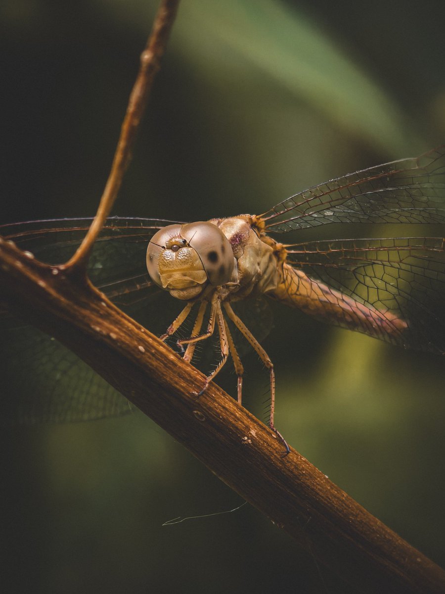 Paritosh_33's tweet image. Good morning..
#Saturday