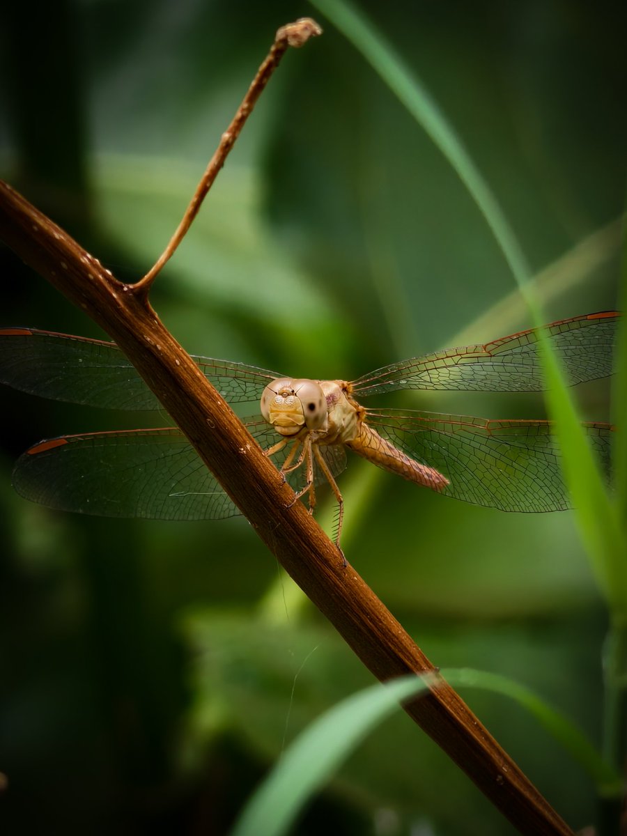 Paritosh_33's tweet image. Good morning..
#Saturday