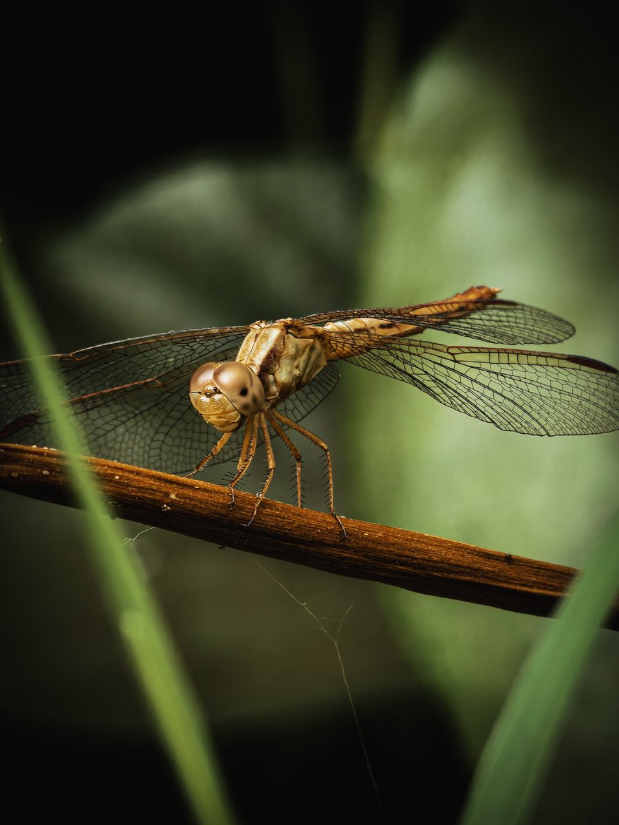 Paritosh_33's tweet image. Good morning..
#Saturday