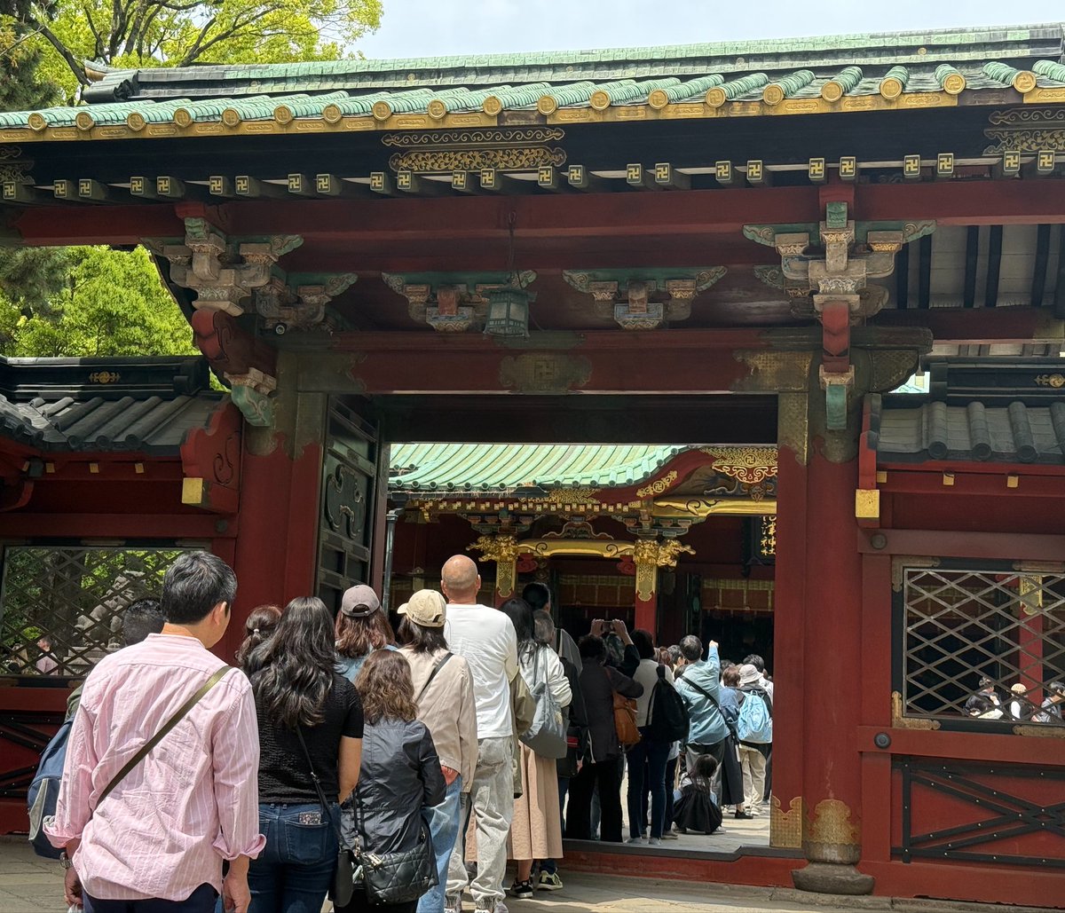 あるかり(alcali404) tweet media