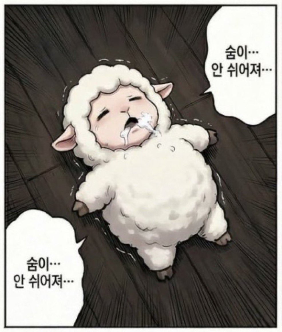 온라인 찐따 tweet media