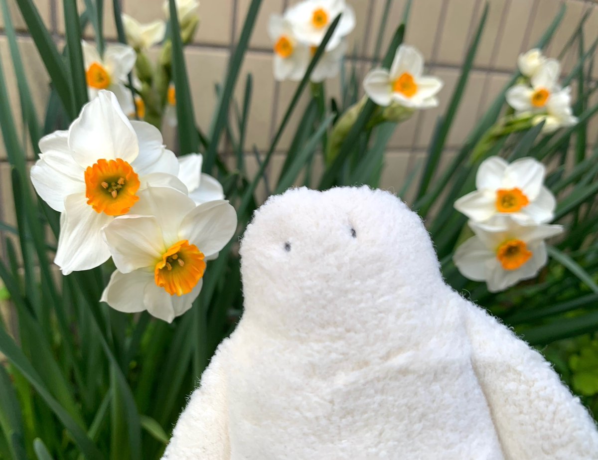 musicandapan tweet media