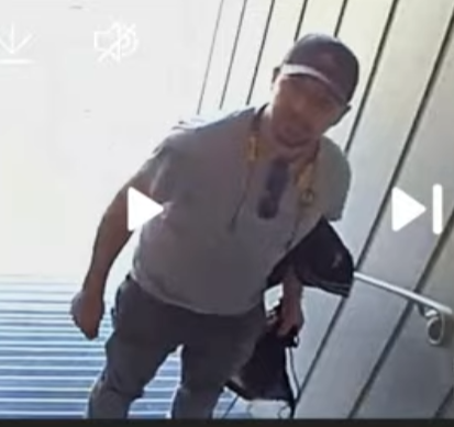 Where is Nancy Guthrie? tweet media