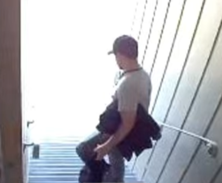 Where is Nancy Guthrie? tweet media