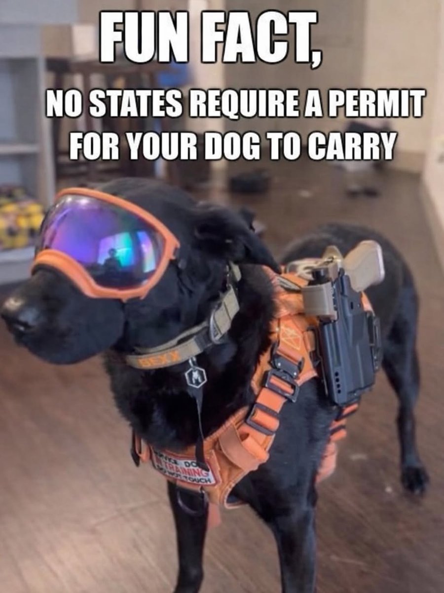 MERICA MEMED tweet media