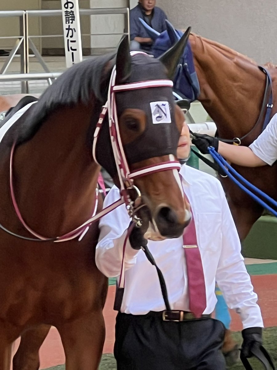 フーソ tweet media