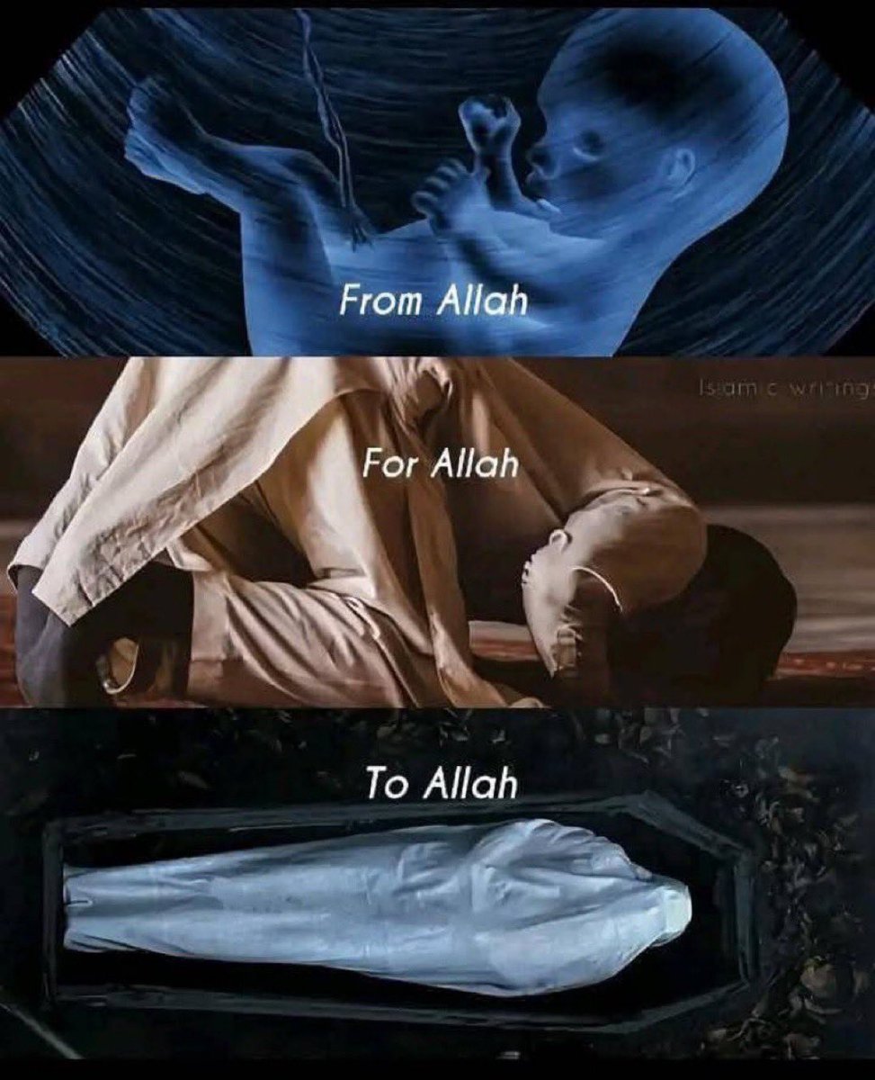 H’s mom tweet media