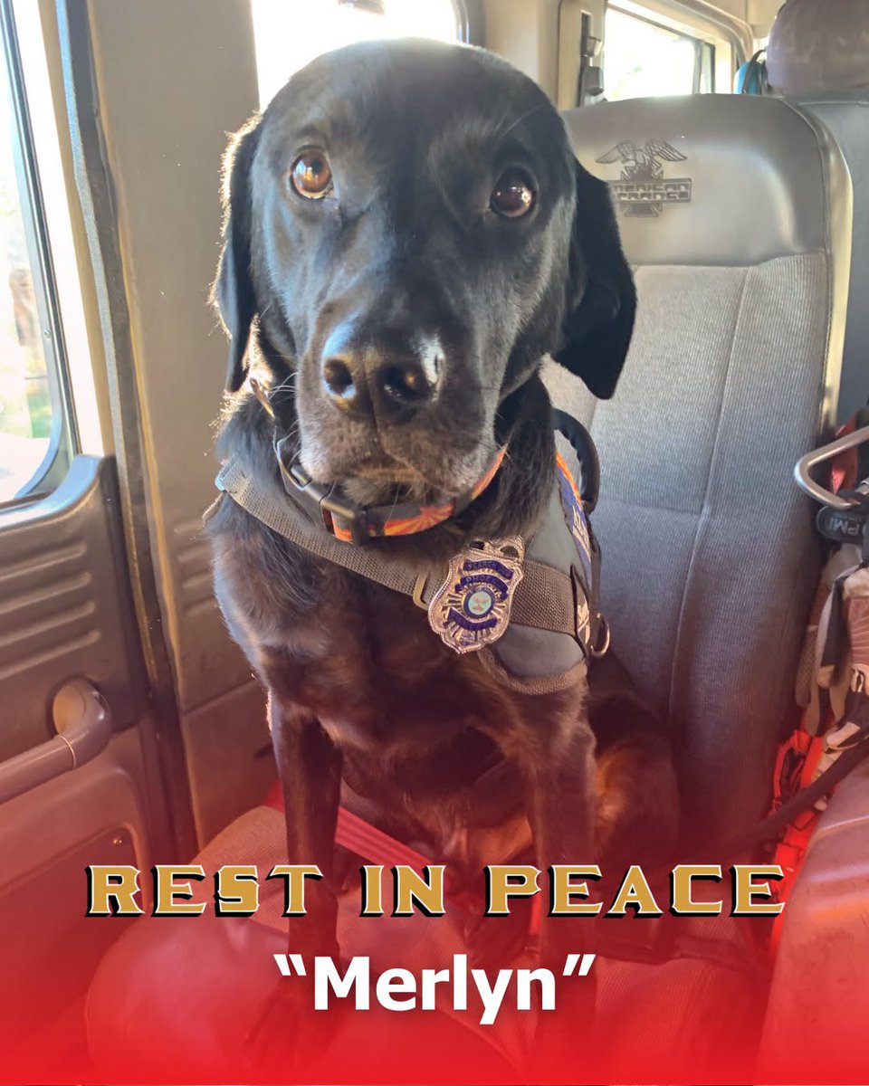 Under the Shield tweet media