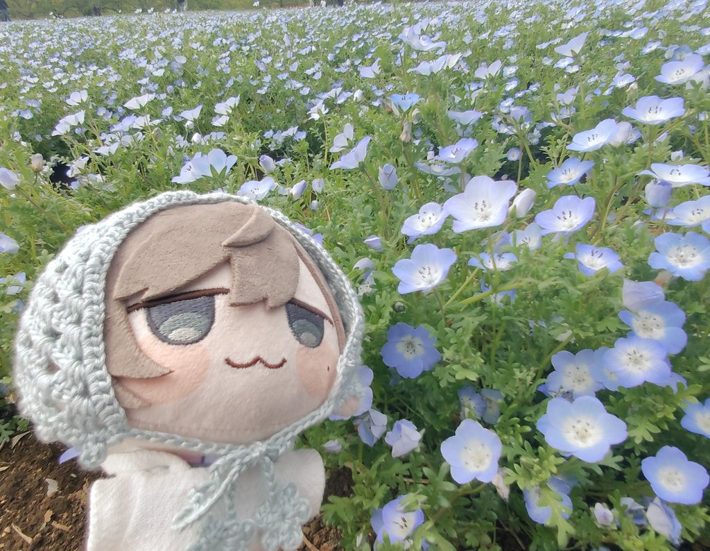 42noa's tweet photo. #にじまるっとが見られるタグ https://t.co/ESalcFs2ao