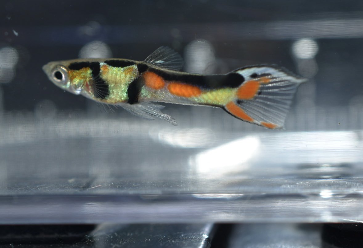 のぉん tweet media