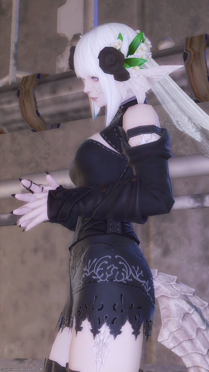 よつは tweet media