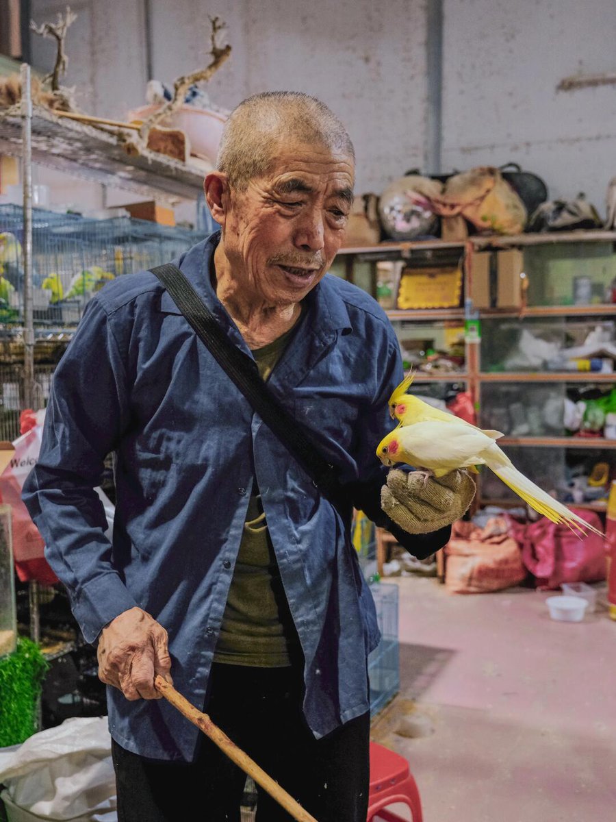 ヒロコジ tweet media