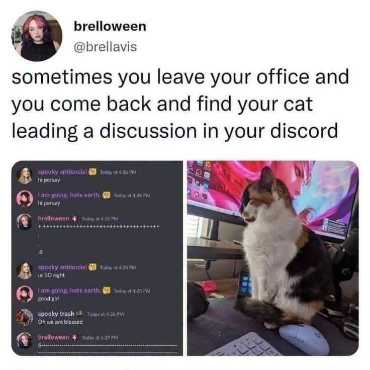 Tim “Goose” Gooseman tweet media