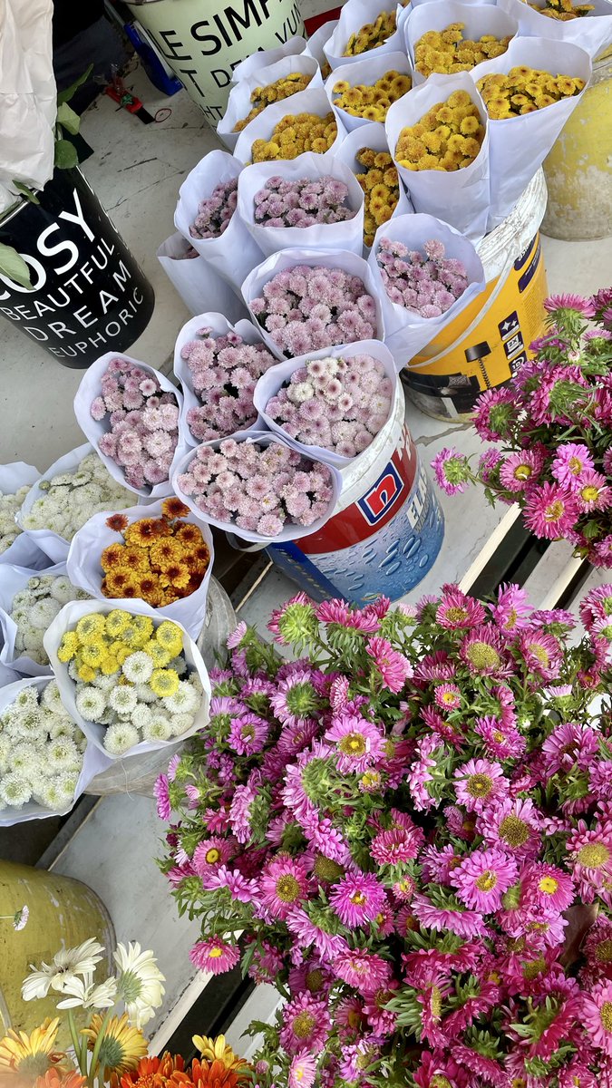 sheyzsz's tweet photo. the perfect start to the weekend:
buy some flowers at ur fav florist 🌷 https://t.co/tkOgFZXaVo