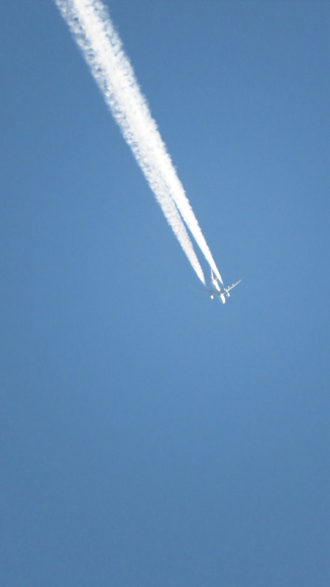 Dylan DeMatteo tweet media