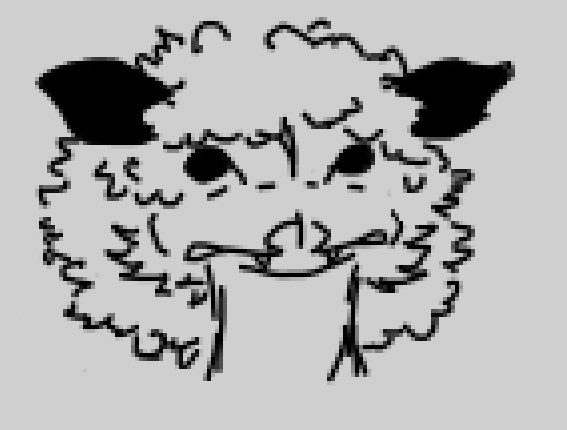 Foam Eater tweet media