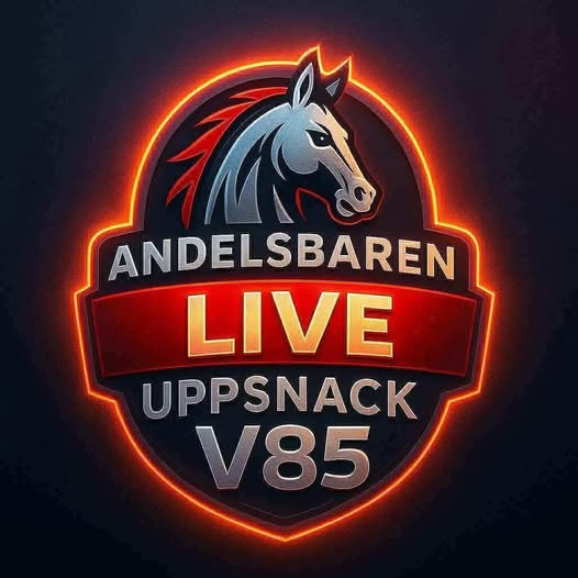 Jögga tweet media