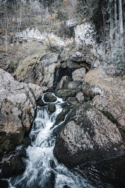 Jesus Kline tweet media