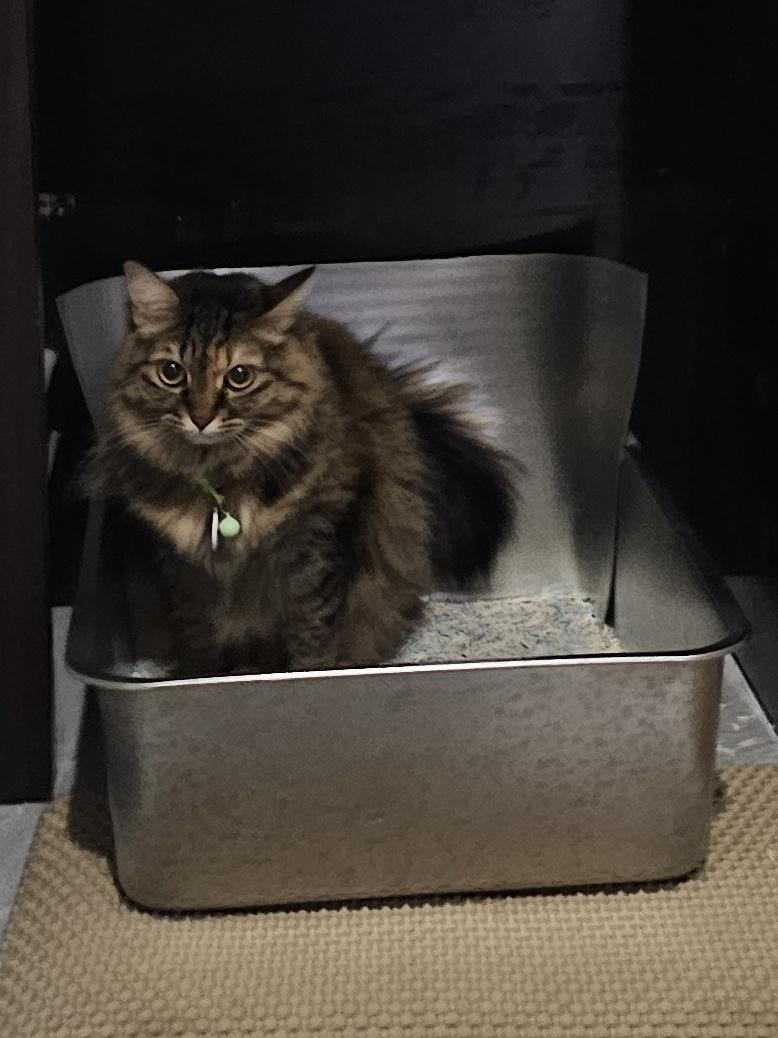 Coffee bae tweet media