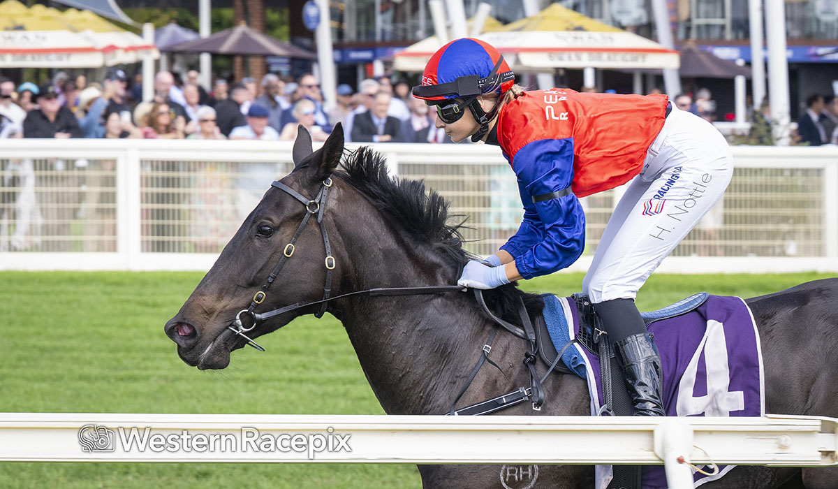 Western Racepix tweet media