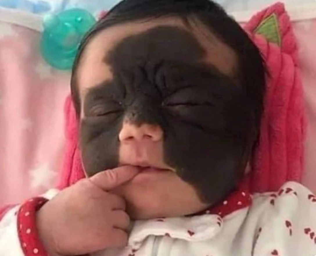 slimboy💥 tweet media