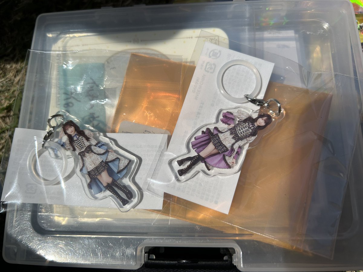 イルカのゆうくん tweet media